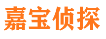 元江市私家侦探